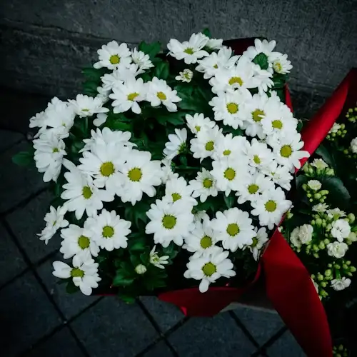 Floristería-servicio-la-orquídea